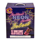 G-649 Brilliant Neon Shells (Case Pack) 6/12